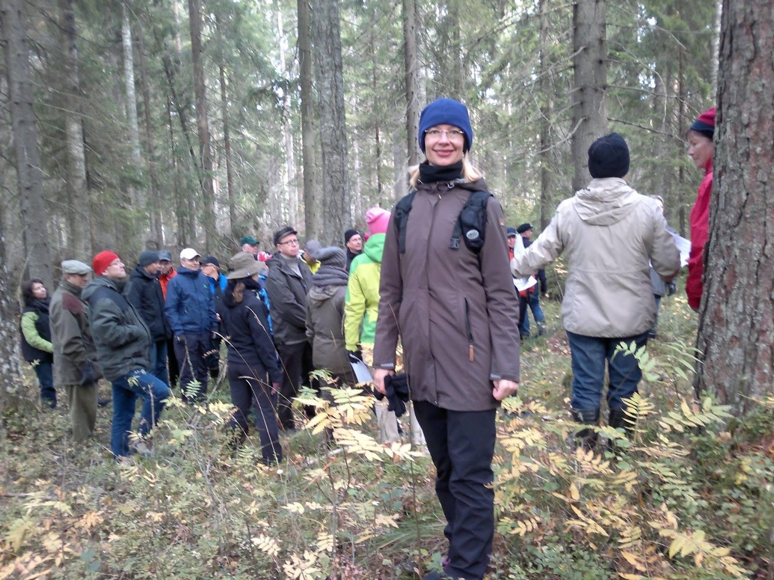 Metsästrategian tulee kattaa tasapainoisesti kaikki kestävyyden ulottuvuudet